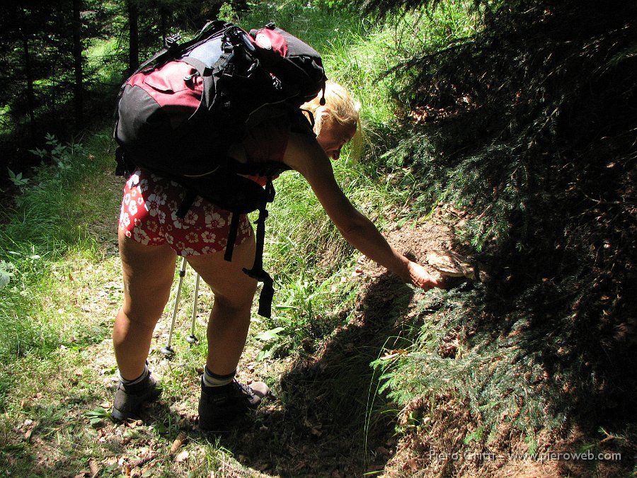 Menna3ag08 125.jpg - Entrando nel bosco-pineta Madda osserva dei funghi
